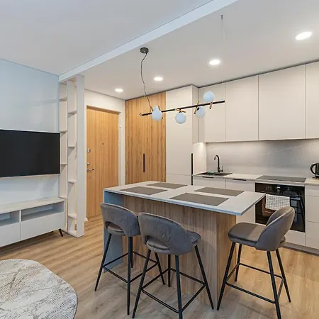 Apartment Vytauto 43-4 Residence By Domvia Kaunas
